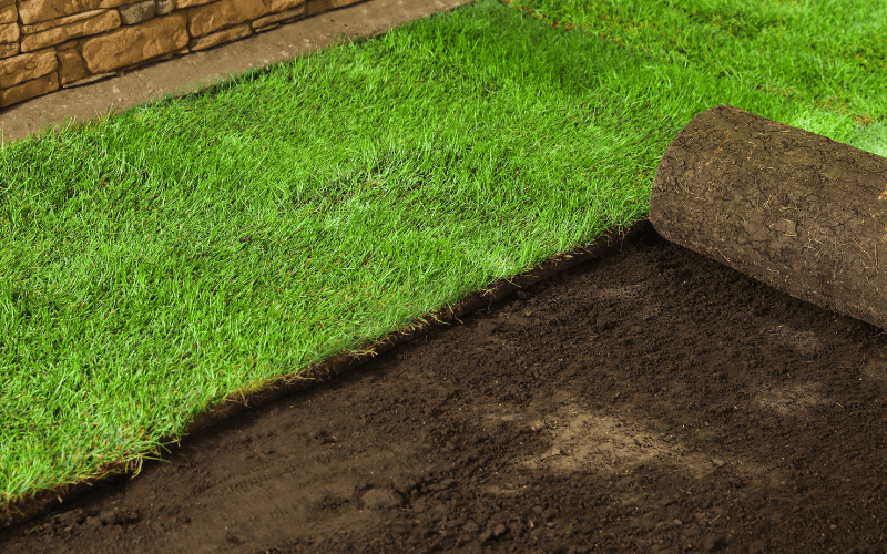 Sod Installation Services in Englewood, FL